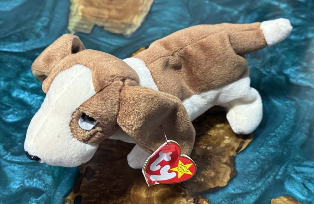 Ty Beanie Baby - TRACKER the Basset Hound Dog 7" Stuffed Toy